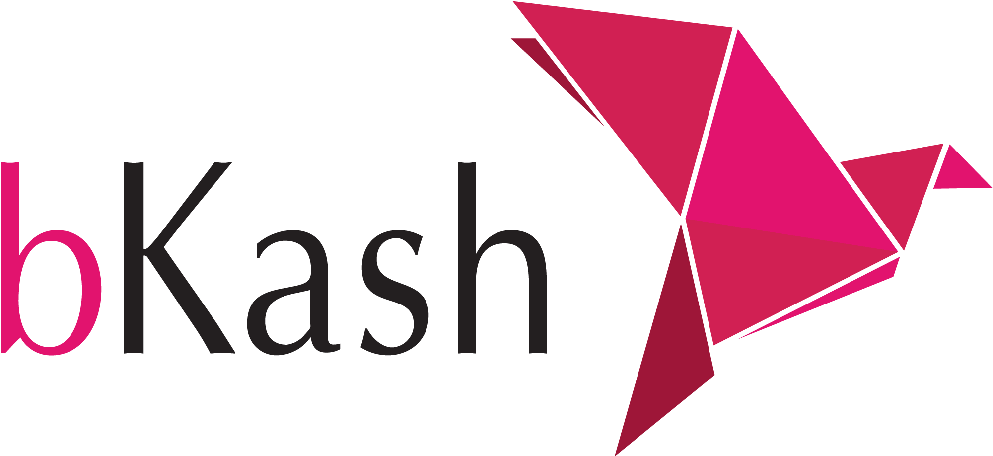 bKash Payment